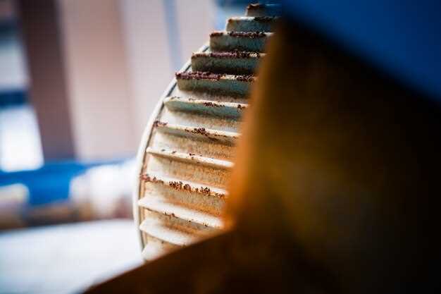 Maintenance Considerations: Longevity and Wear Patterns of Rotors