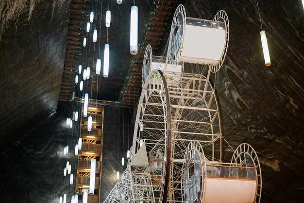 Roll Cages – Design, Function & Rules
